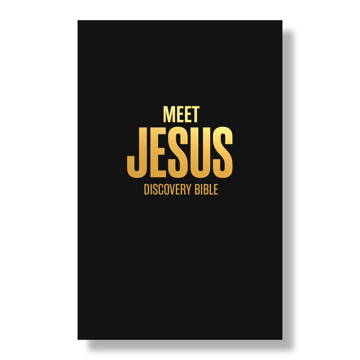 Meet Jesus – Discovery Bible (EN)